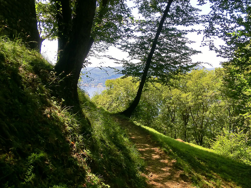 <strong>Sentiero che porta ai Monti di Blevio - fotografia di Carlo Sala -</strong>