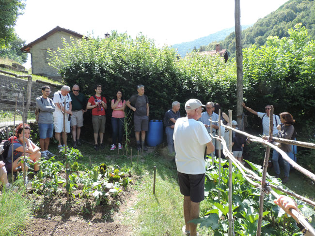 Orto di Silvano Montanari