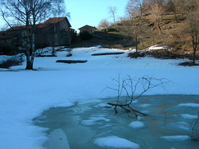 Laguazal innevata