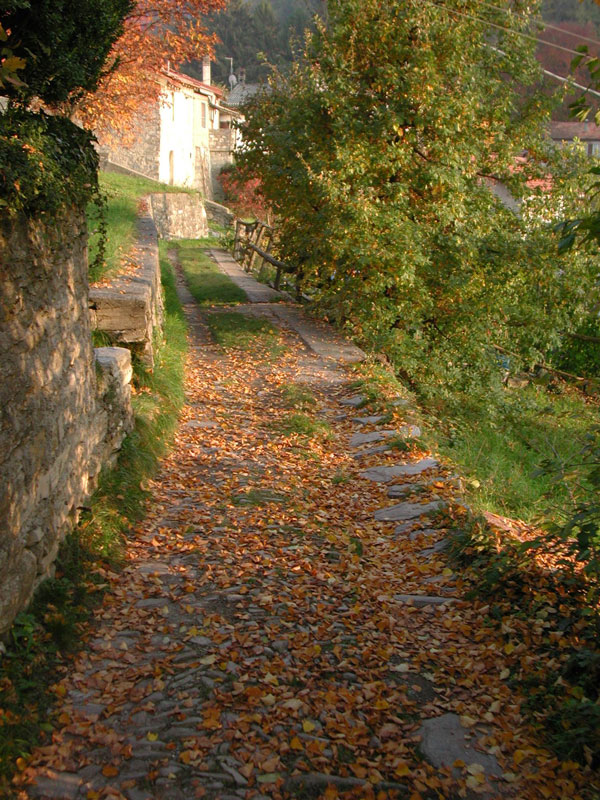 <strong>Montepiatto, paesaggio autunnale - fotografia di Luciano Ronchetti -</strong>