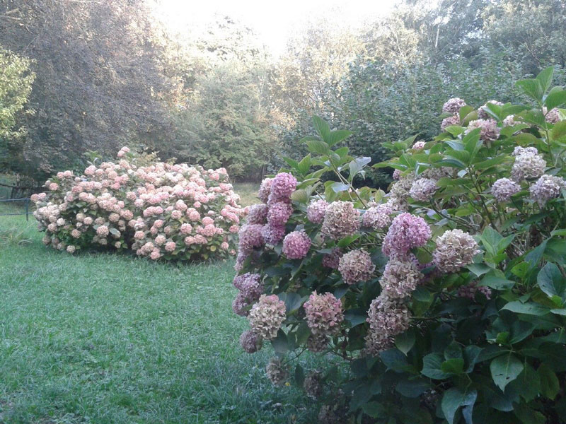 <strong>Montepiatto - Foto di Corrada Salemi -</strong>