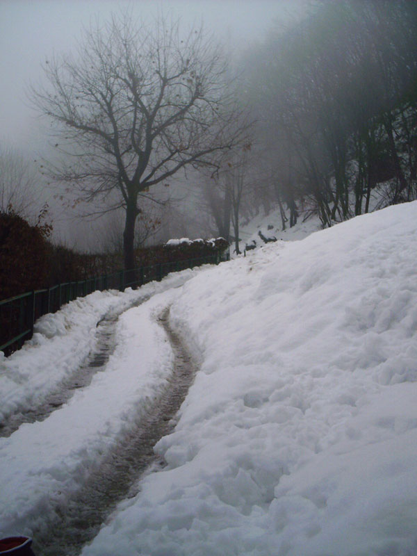 <strong>Strada per Pianisc innevata - fotografia di Gianni Salaris -</strong>