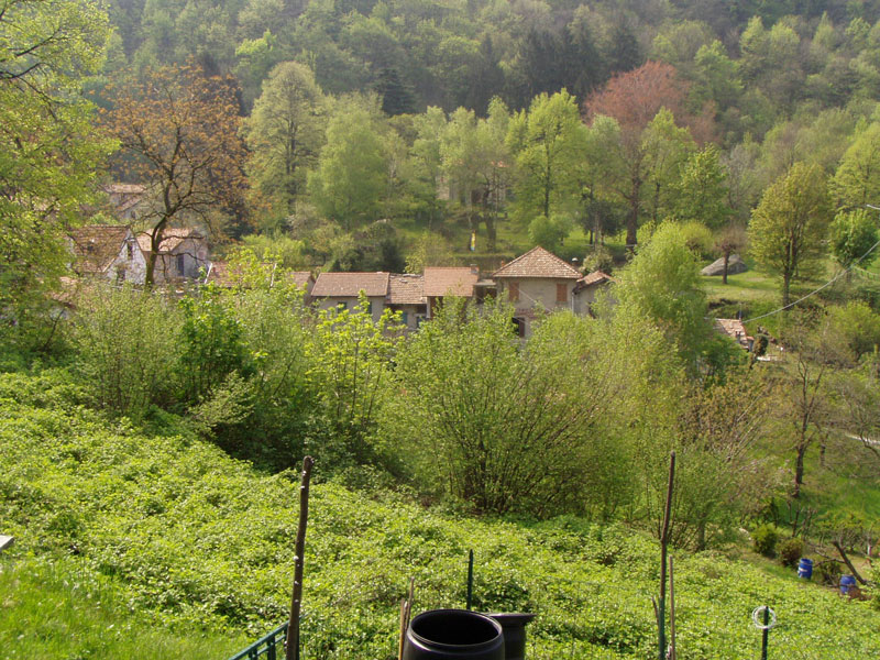 <strong>Abitato (veduta) - fotografia di Francesco Niccolai -</strong>