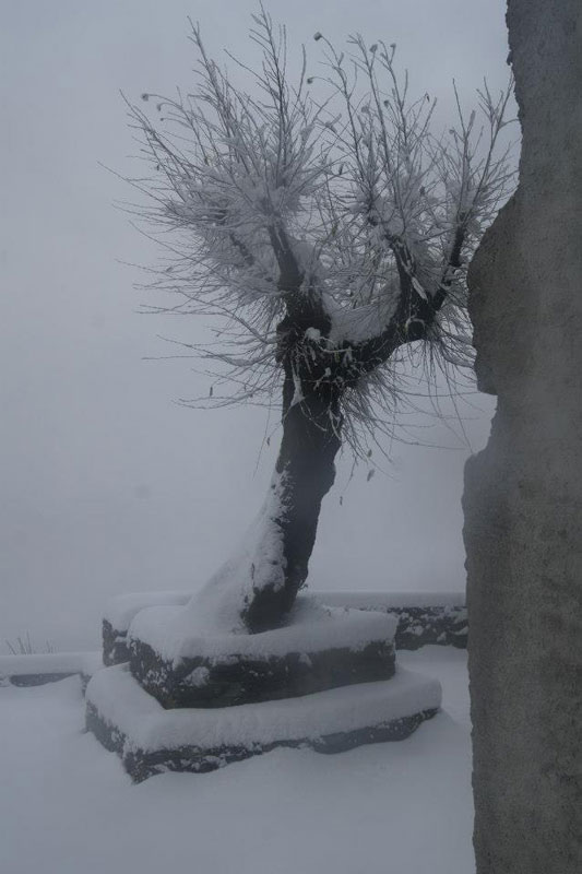 <strong>Montepiatto, sagrato Chiesa di S.Elisabetta - fotografia di Nicoletta Cassani</strong>