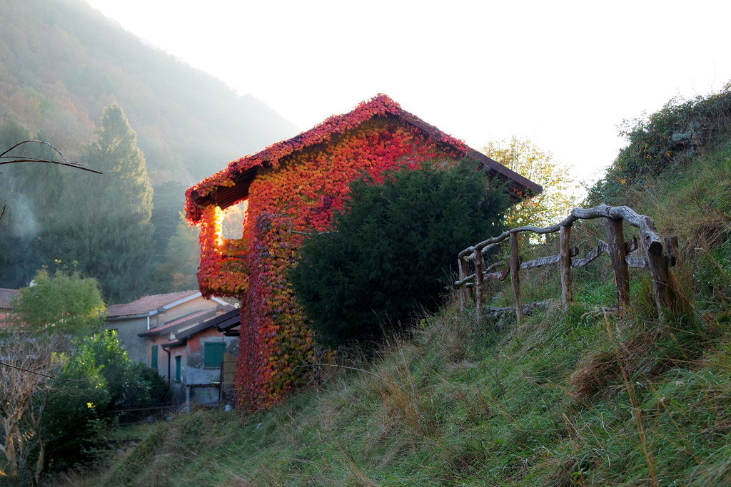 <strong>Isolabella - fotografia di Gogui Fernandez -</strong>